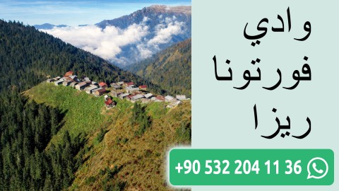 وادي فورتونا ريزا